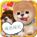宠物成语闯关手机最新版