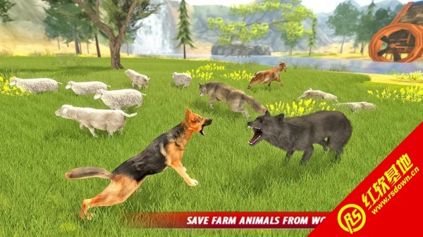 牧羊犬生存模拟(1)