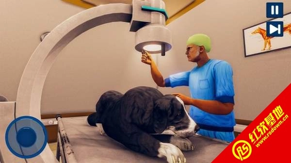 宠物医院模拟器(2)