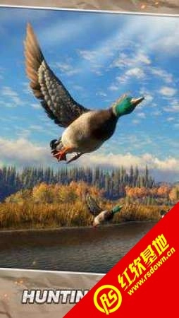 狩猎世界狙击(Hunting World: Deer Hunter Snipe)手游版