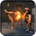 街道拳头格斗游戏完整版
