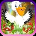 有趣的鹈鹕逃生(Funny Pelican Escape)手机最新版