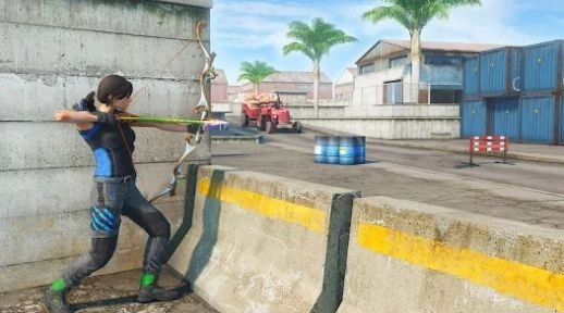 弓箭手刺客射击(Archer Assassin shooting game)安卓直装版(2)