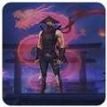 影忍者2(shadowninja2)免费原版