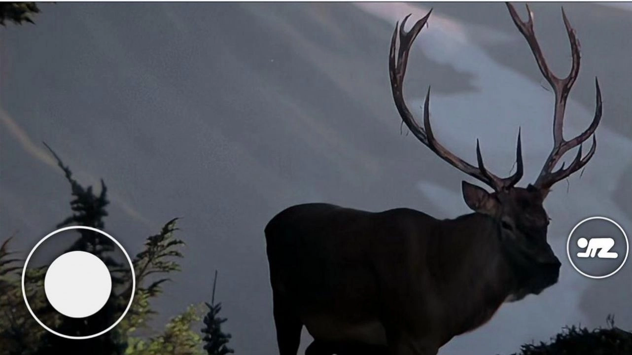 恐怖森林猎人原版