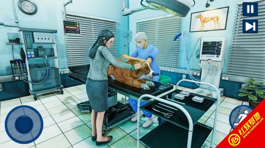 宠物医院模拟器(3)