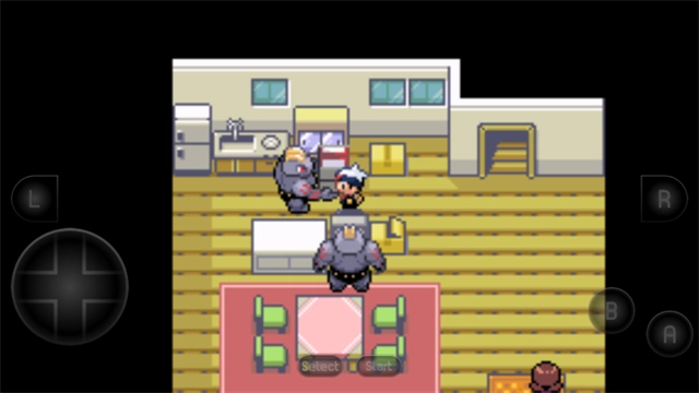 口袋妖怪红宝石通用版(3)