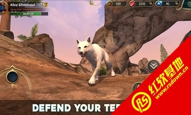 狼传说家园与爱心(2)