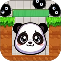 熊猫藏猫猫通用版