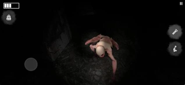 阿比盖尔计划(Project Abigail)