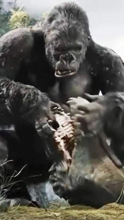 哥斯拉金刚王国(3)