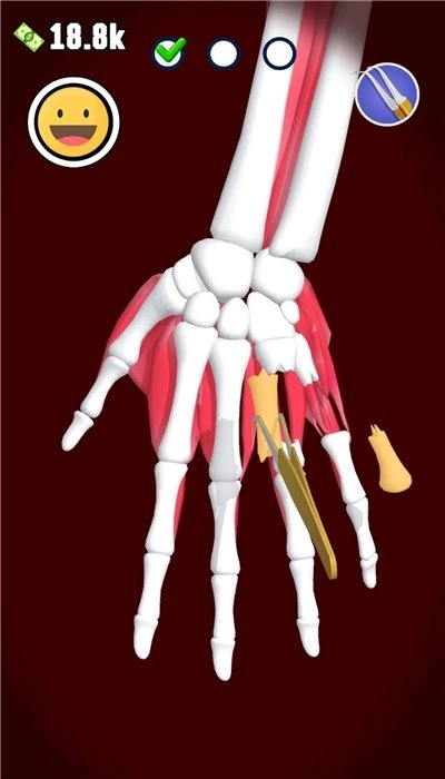 医生是英雄手游直装版(3)