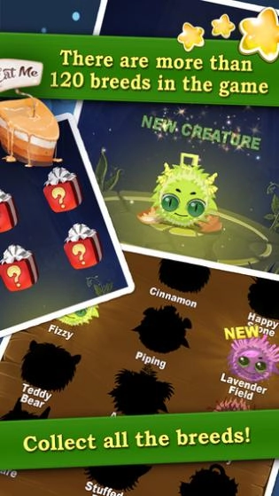 宠物库里(KuriPets)安卓版(2)