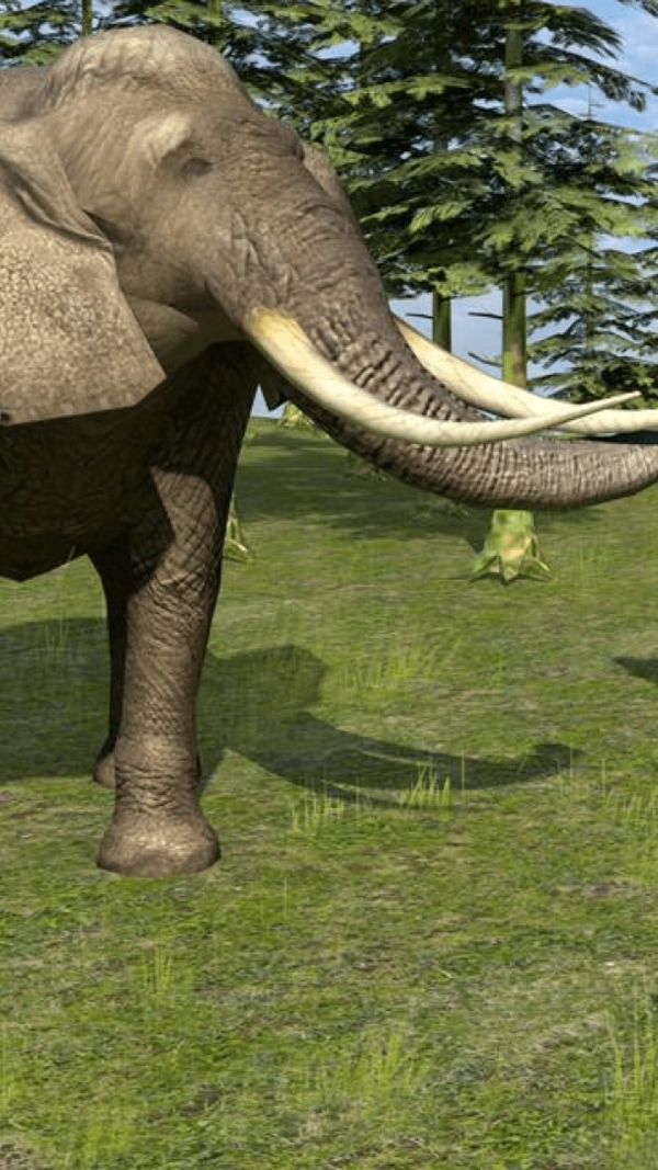 野生动物生活模拟(3)