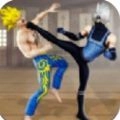 空手道对决勇者(Karate King)游戏纯净最新版