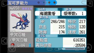 口袋妖怪雪之白游戏绿色版(2)