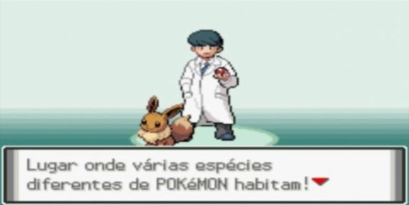 口袋妖怪黑暗崇拜手机免费版(1)