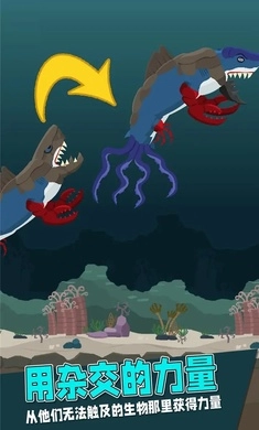远古海洋竞技场直装版