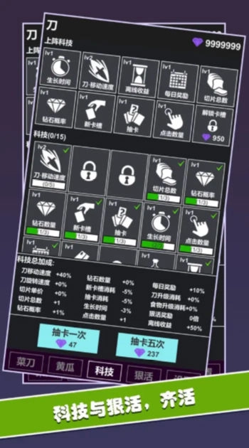 黄瓜茄子切切切(1)