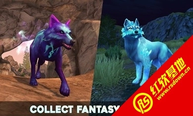 狼传说家园与爱心(1)