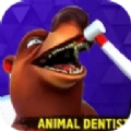 疯狂动物牙医