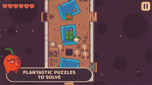 逃税的萝卜男孩(1)