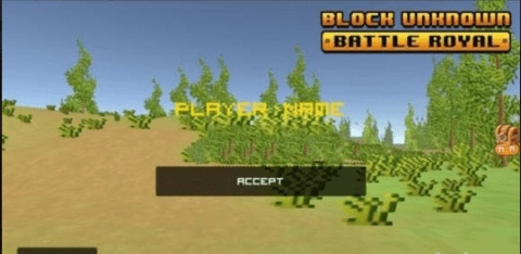 未知像素战场(2)