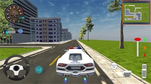 真正的豪华警车(Real Police Car Game)官方正版