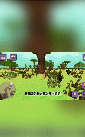 沙盒开放世界(1)