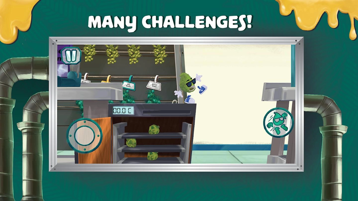 巴迪杂草冒险(Buddy The Bud)游戏无广告版