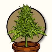 农作物农场(Cannabis Farm)手机正版