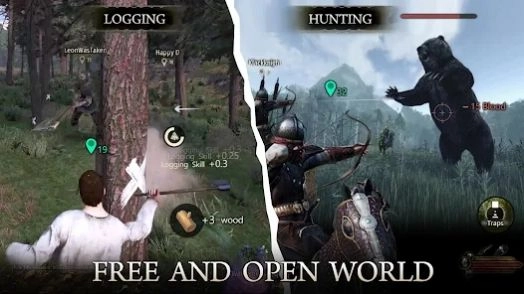 骑士的遗产(Knight's Legacy)