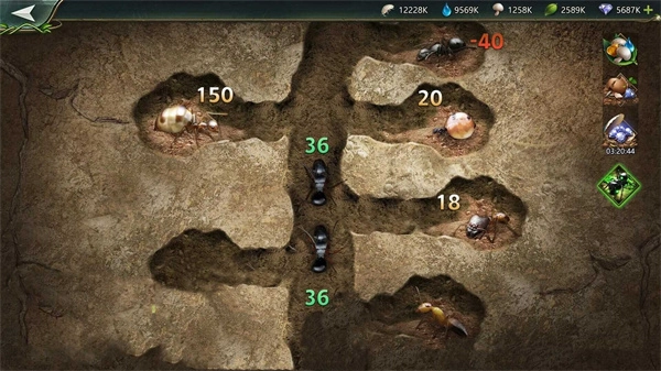 小小蚁窝官方版