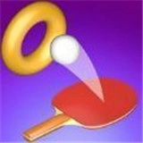 乒乓球和圆圈(Hit Pong)通用版