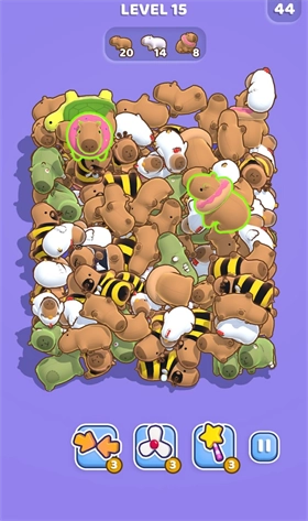 卡皮巴拉比赛(1)