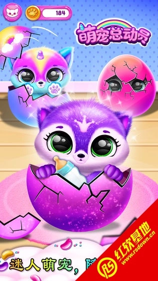 萌宠总动员图3