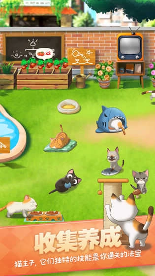 猫语咖啡直装版