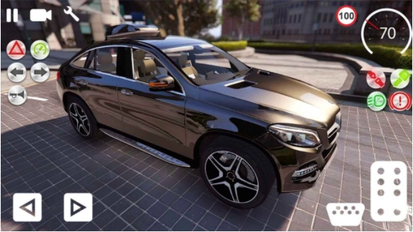 模拟真实驾驶3D图2