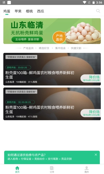 道农拍免费原版图3