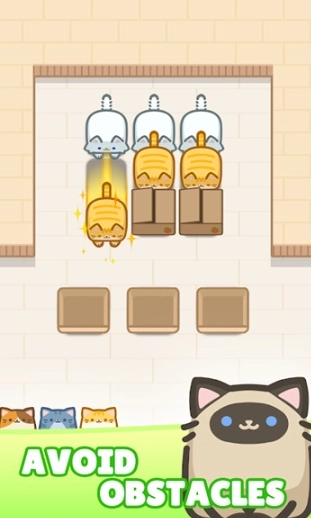 blockcatpuzzle手游版(1)