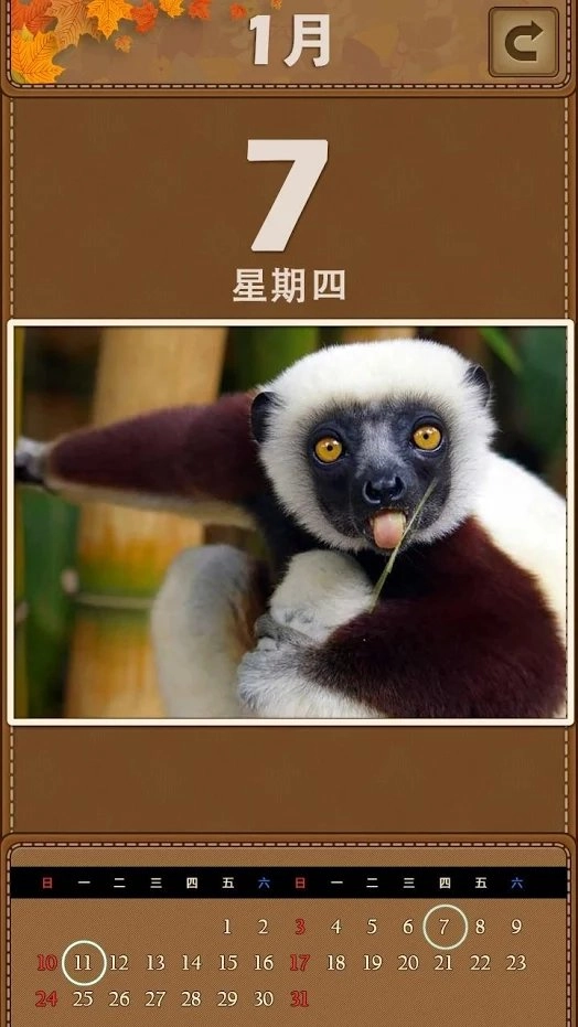 萌宠日历2026(Animal Puzzle)官方最新版