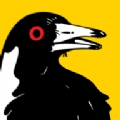 乌鸦突袭(Swoopy Boi)最新免费版