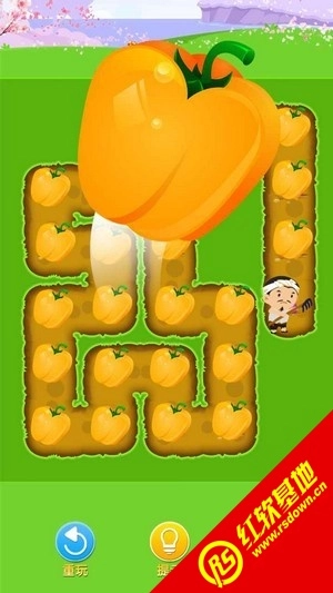 我要娶老婆(红包版