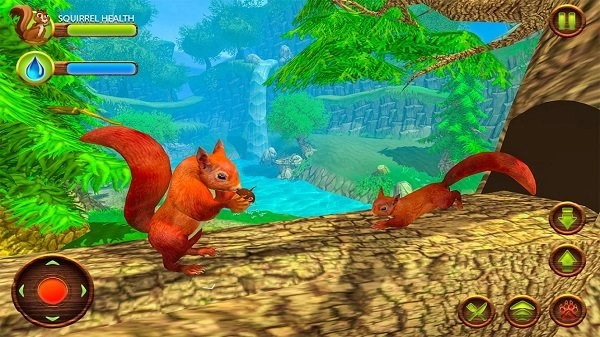 野生松鼠模拟器免费原版图3