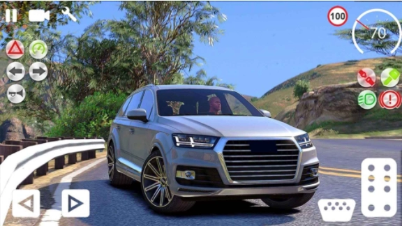 模拟真实驾驶3D图1