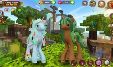 小马世界工艺品(Pony Craft)手机正版(2)
