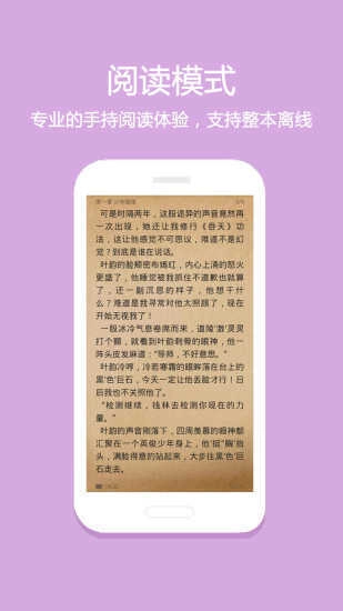 一个图1