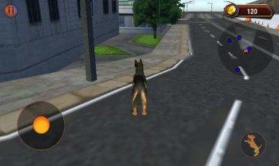 3D警犬模拟官方正版