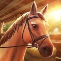 兴奋的跳马(Equestriad)