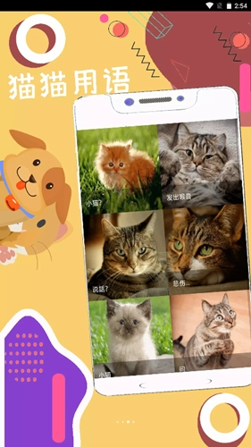 人狗猫猪翻译器通用版图2